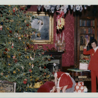 LI Christmas Tree.jpg