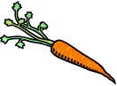 image of a carrot